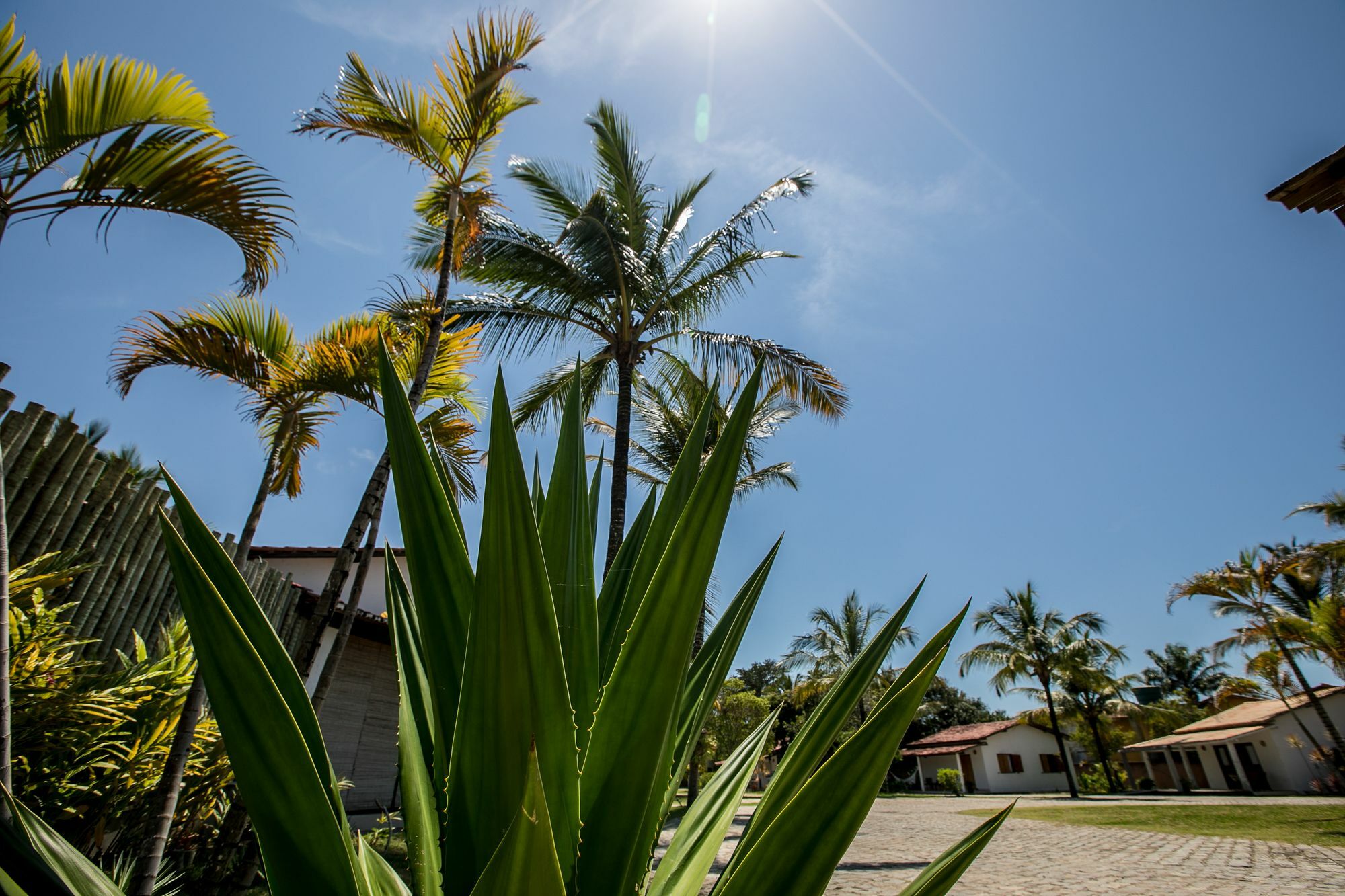 Vila Morena Trancoso Eksteriør bilde